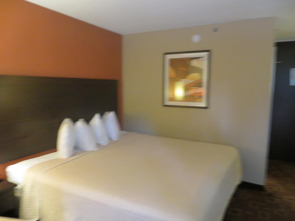 University Inn Austin North 客房 照片